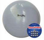 BOLA GYNASTIC BALL 65CM PRATA