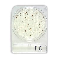 COMPACT DRY TC 100 TESTES