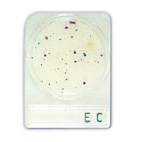 COMPACT DRY EC 100 TESTES