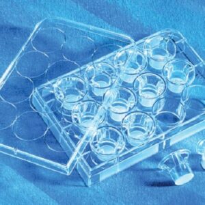 TRANSWELL PARA PLACA DE 24 PO?OS