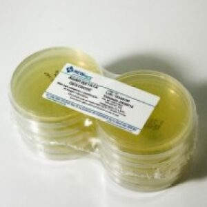POTATO DEXTROSE-AGAR-20ML-PL 90X15-10PL